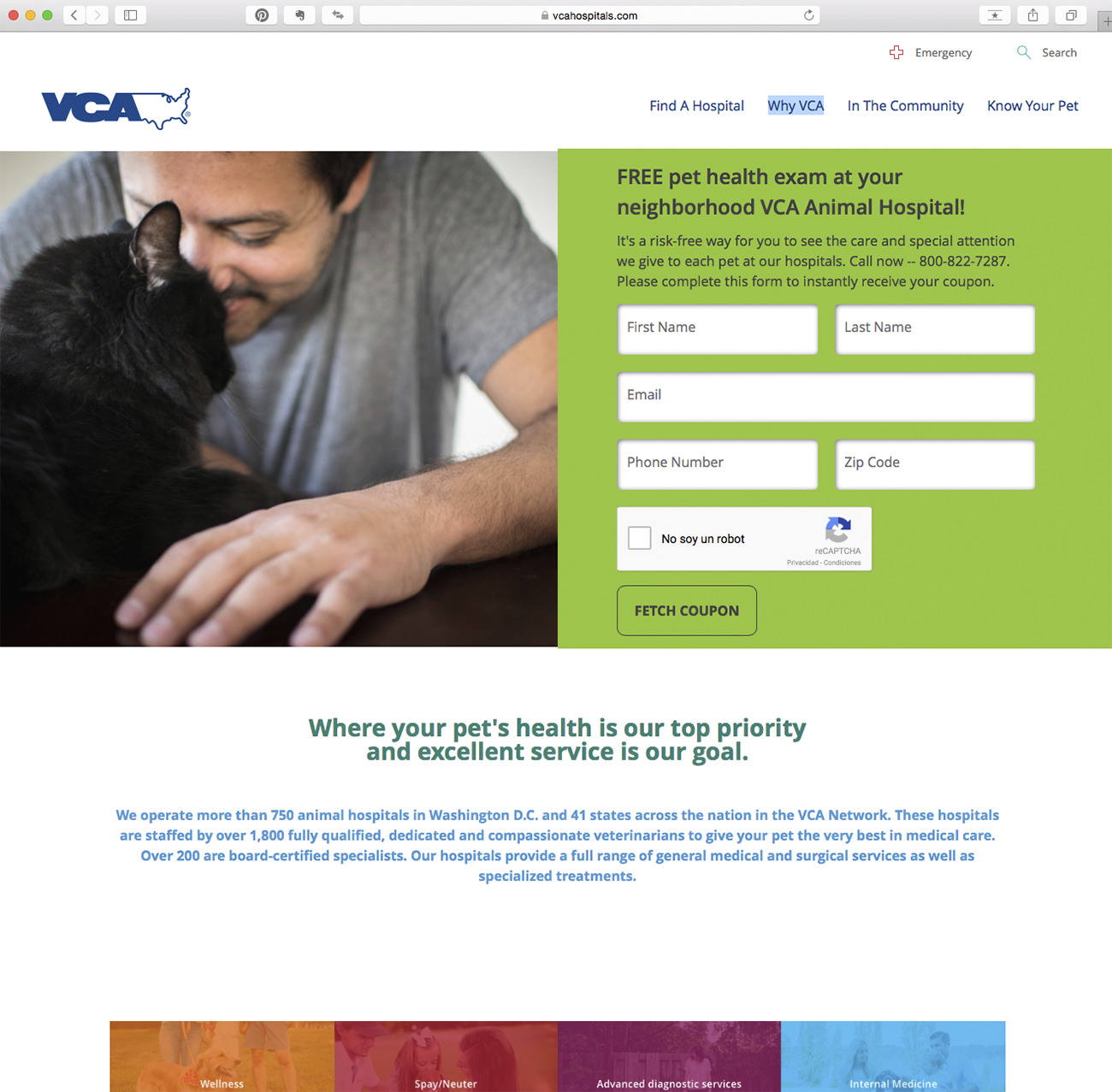 First Check-up is Free example - Marketing for veterinary clinics