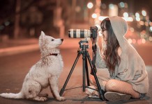 Marketing para Fotógrafos: 5 Ideas para Impulsar Tu Negocio marketing para fotografos