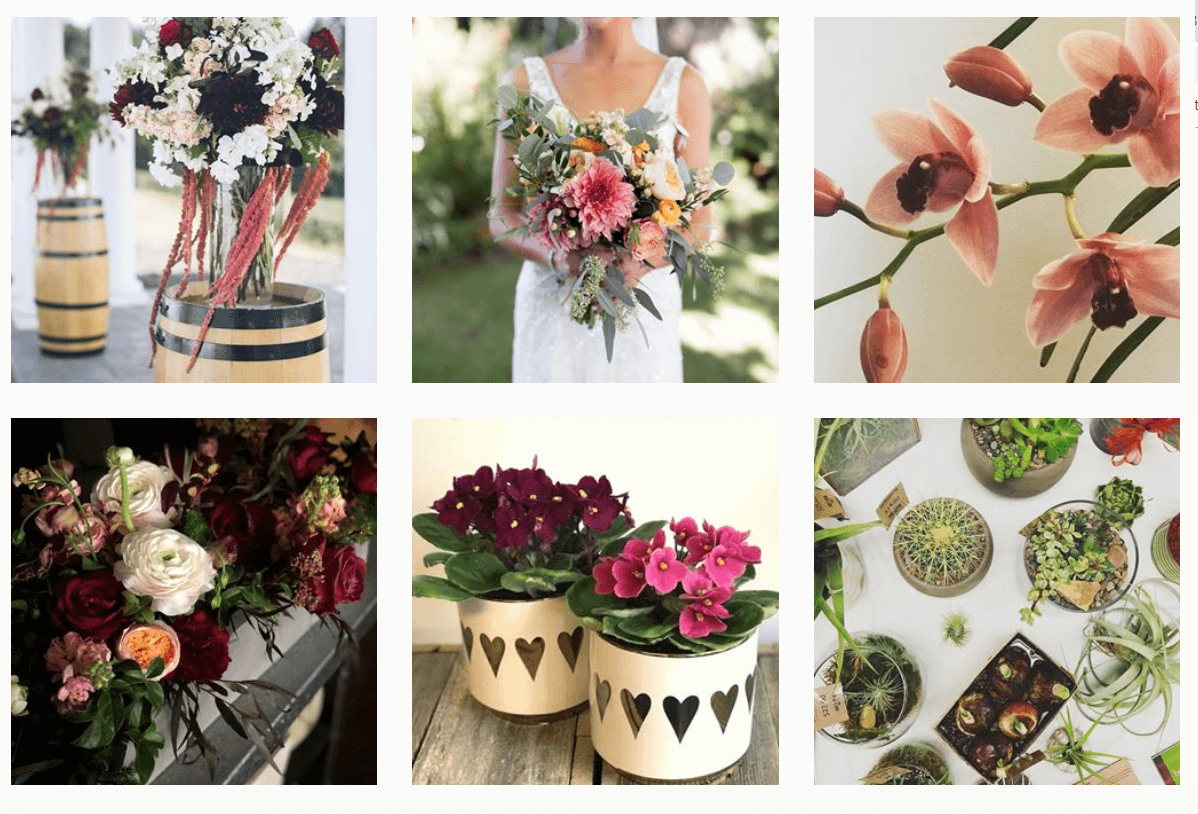 Marketing ideas for flower shops. Botanica instagram pictures.