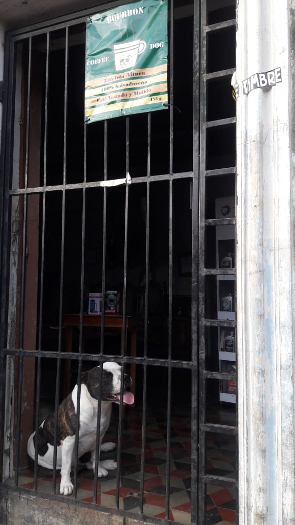 Plan de Digitalización El Salvador. Coffee Dog, entrada de la cafetería.