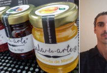 Entrevista a Pala de Arte – Plan de Digitalización MIPYME en México Pala de Arte