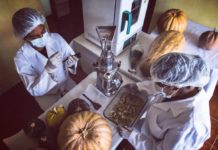 Entrevista a Ivarey – Plan de Digitalización MIPYME en México Ivarey